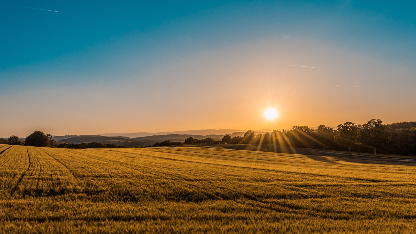 حقول زراعية واسعة